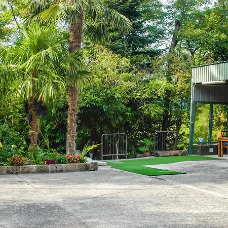 Manticus * Bussolengo